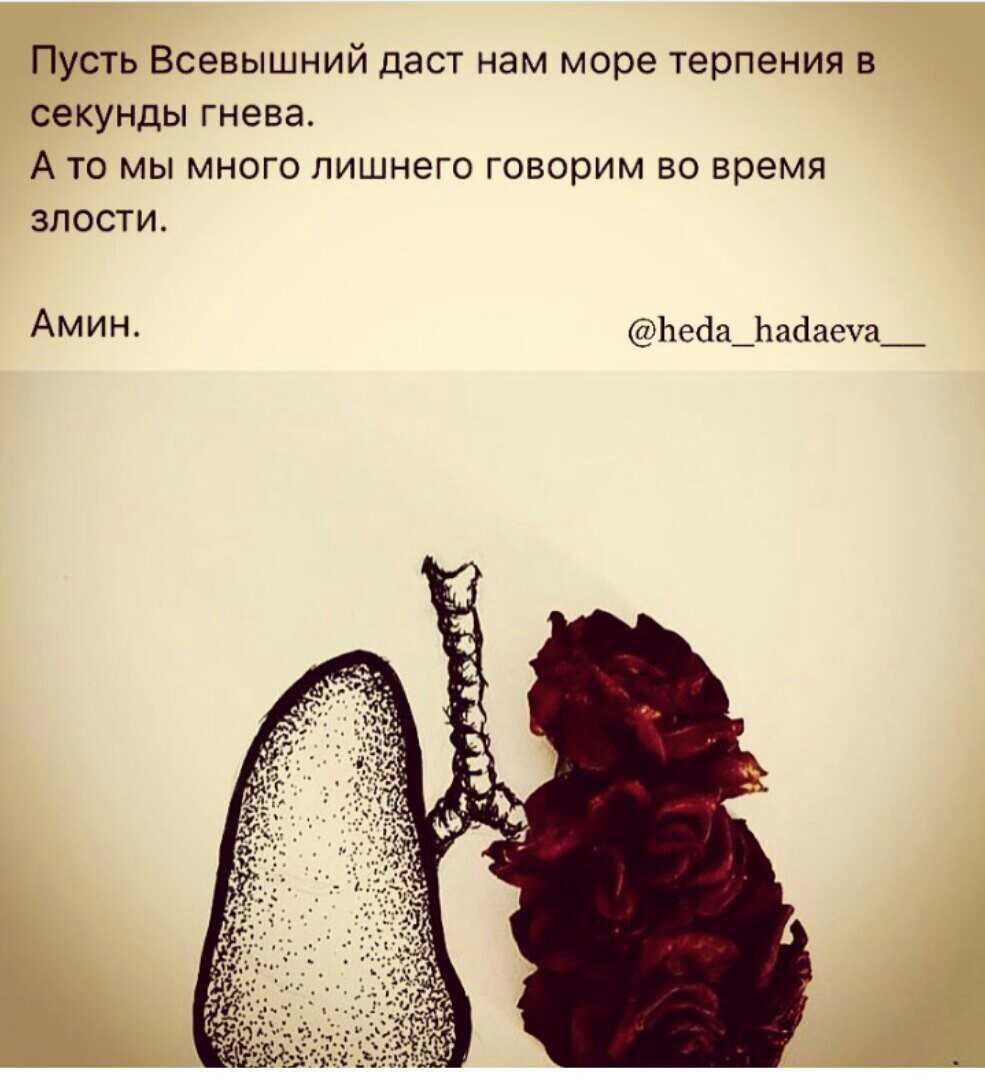Бах ахь что значит