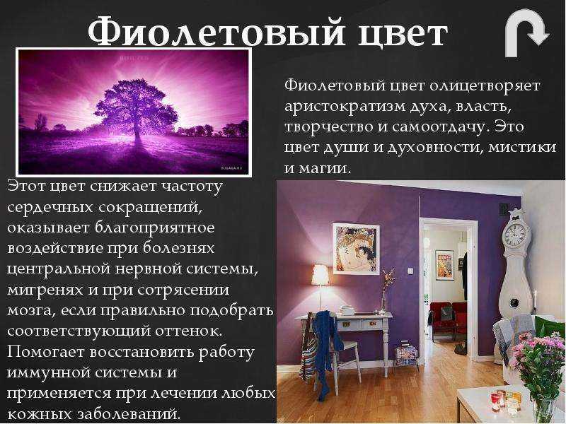 Фиолетовый цвет: значение и символика. о чем говорит любовь к фиолетовому цвету