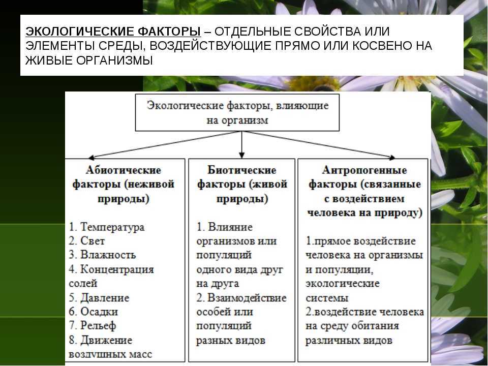 Лимитирующие факторы и плотность популяции