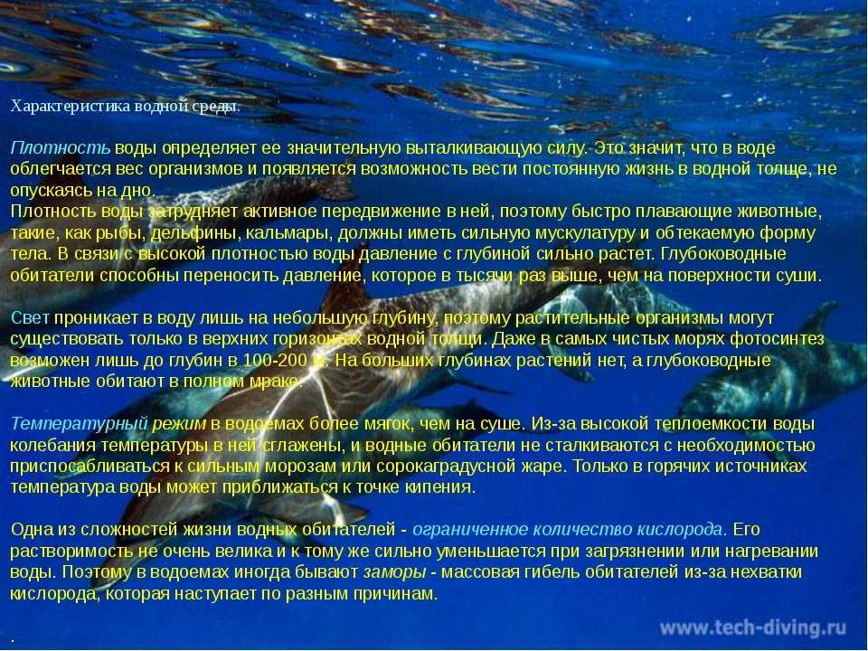 Особенности водной среды плотность