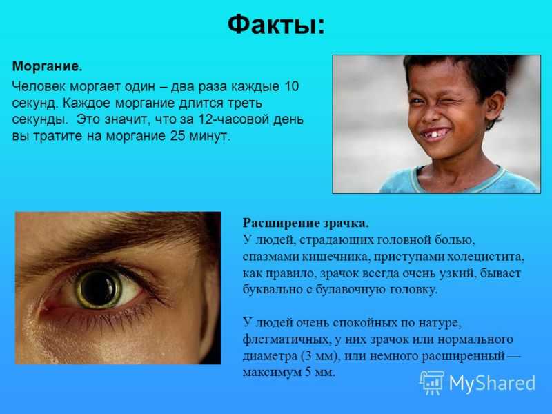Как быстро моргает глаз?. странности нашего тела. занимательная анатомия