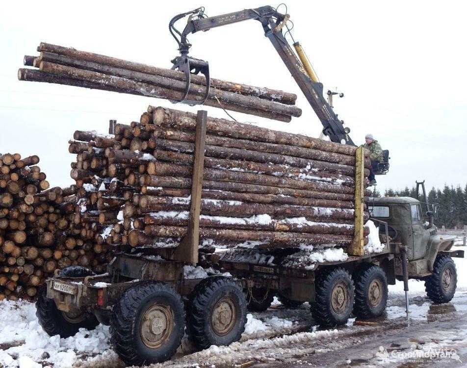 Сколько входит в камаз кубов леса – защита от роботов