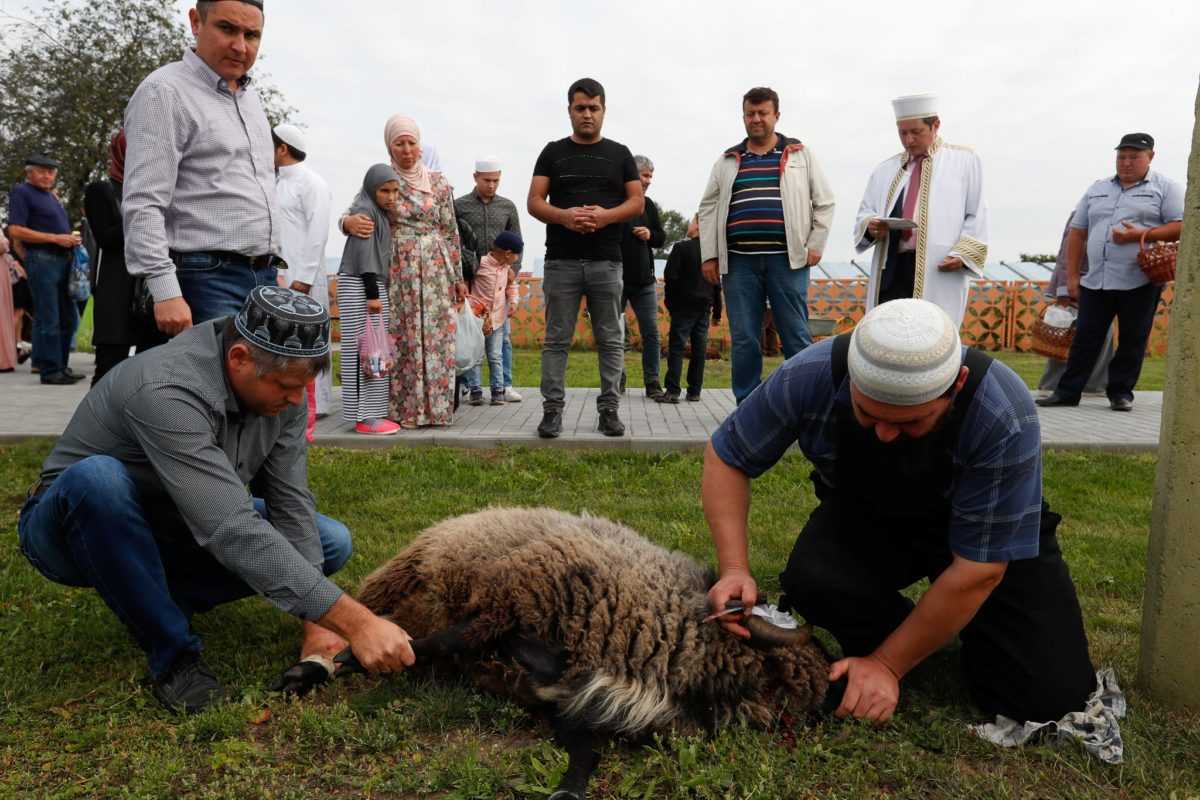 День быка — энциклопедия руниверсалис