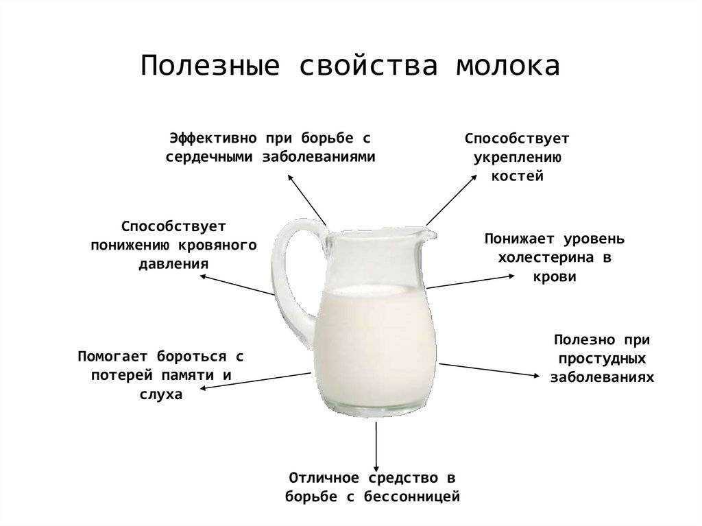Молочные продукты на пп. список продуктов для пп и похудения