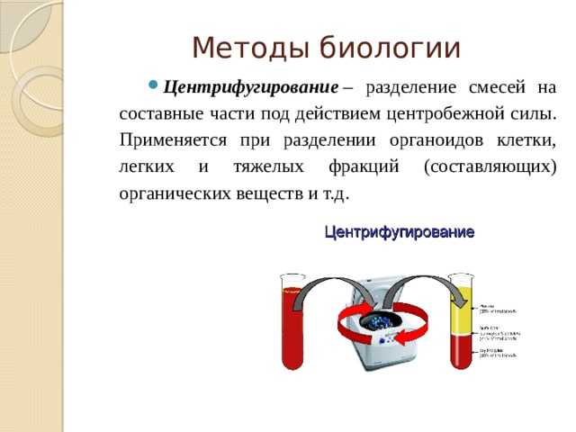 Физика плазмы. t. 48,  номер
 1, 2022