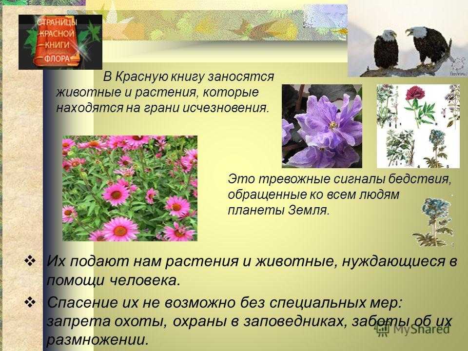 Все, что вам нужно знать о мордовии: достопримечательности, культура и особенности