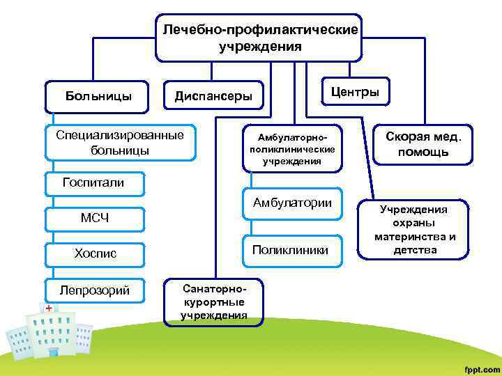 Что такое соматические отделения и как они функционируют