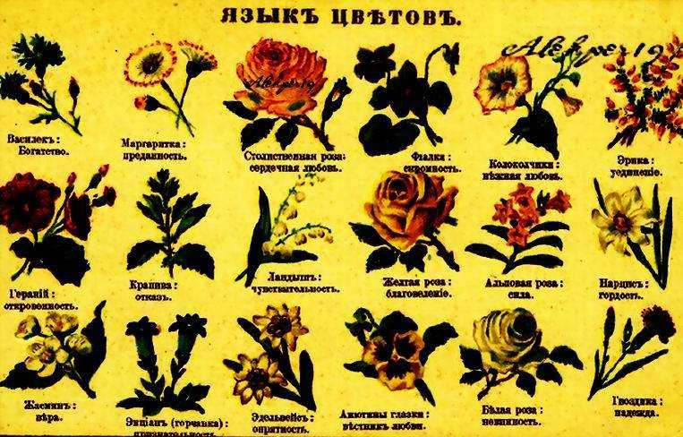 Расшифровка и объяснение молодежного сленга - что означает "чс"? - skaziportal.ru