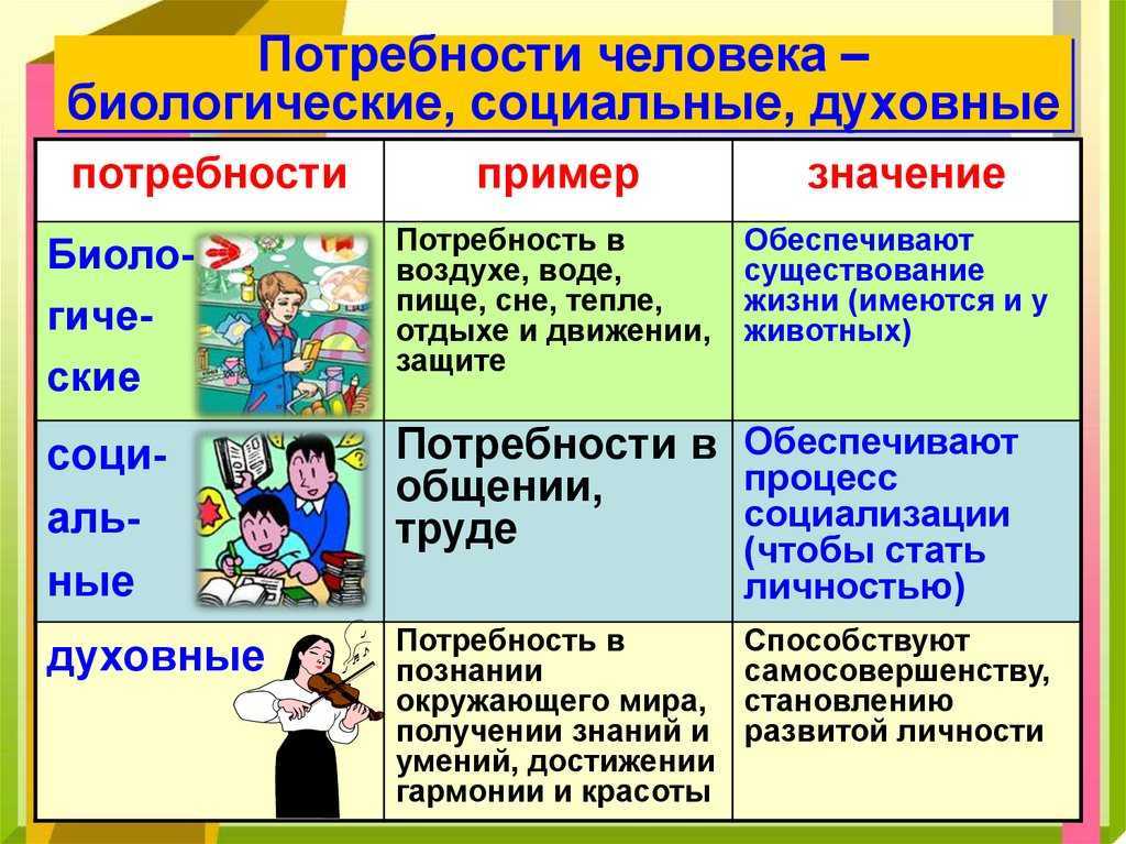 Потребности человека: виды и особенности