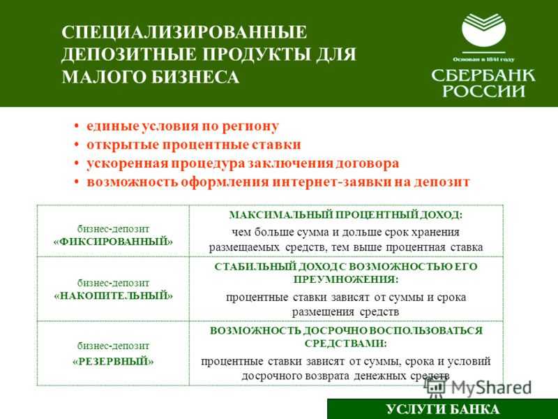 Что представляет собой номер карты сбербанка и где его посмотреть?