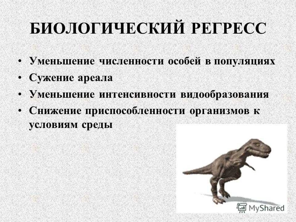 Популяция, вид, способы видообразования. микроэволюция | эволюция органического мира | теория | решутест. продвинутый тренажёр тестов