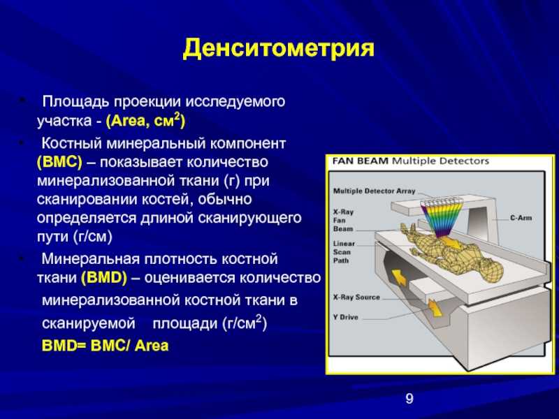 Последние комментарии