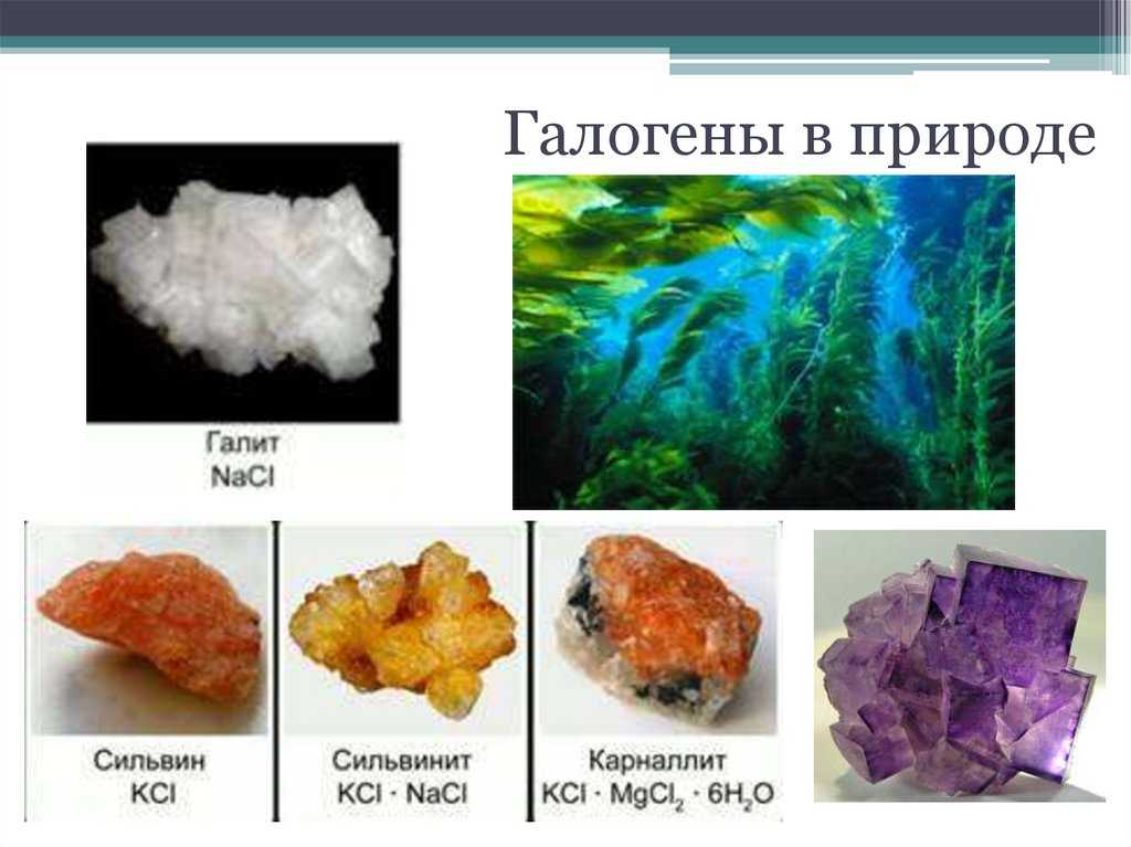 Химия