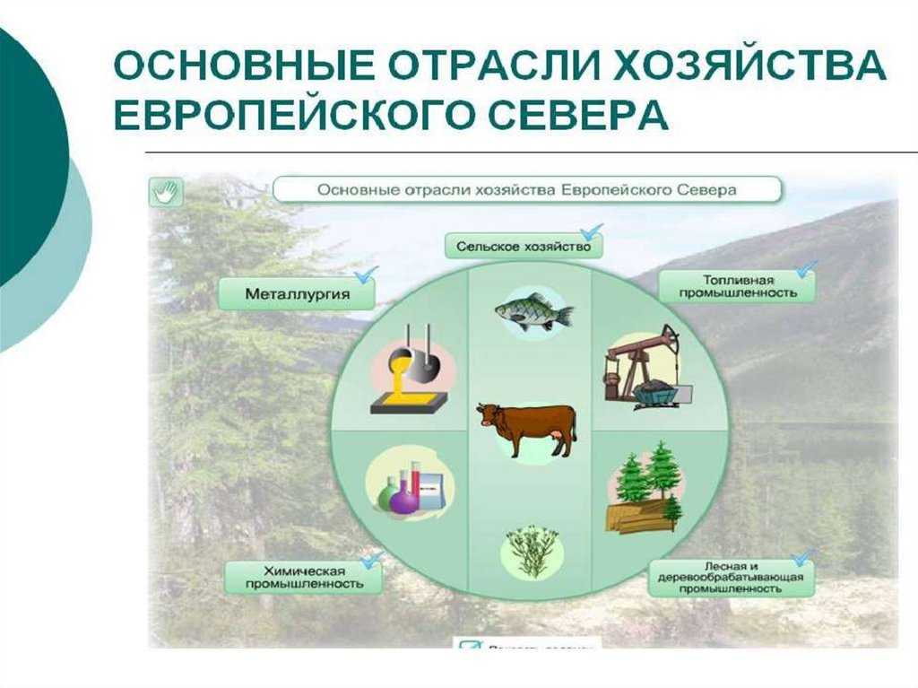 Северный экономический район