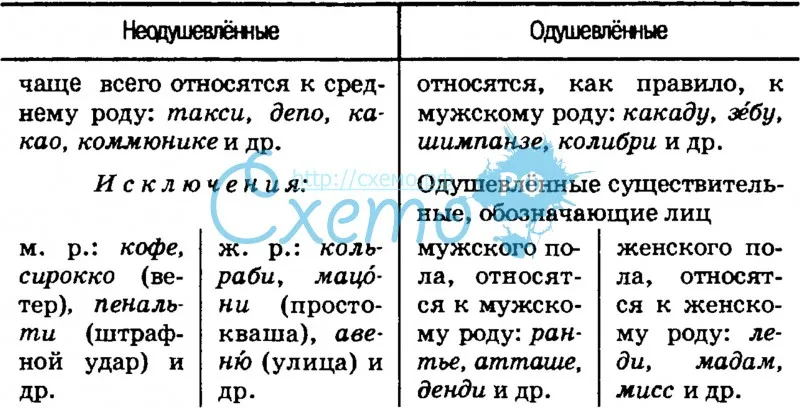 Род имен существительных в русском языке