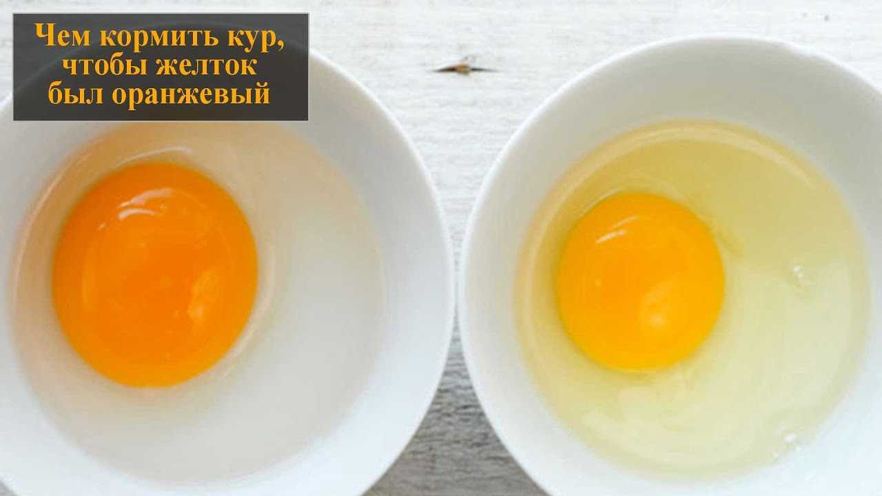 Как определить свежесть яиц. и почему это важно
