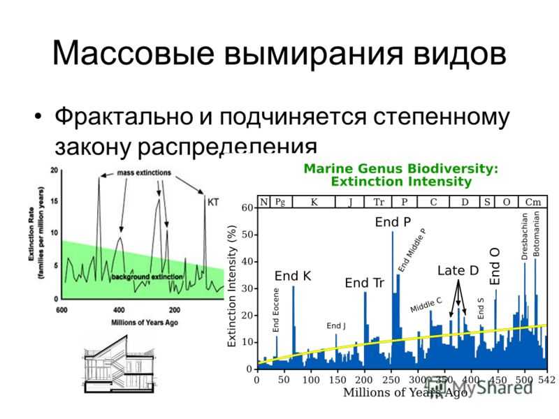 Первые люди на земле