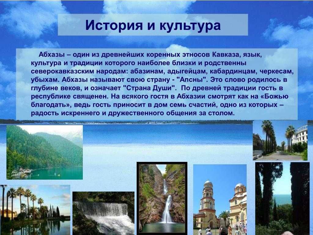 Какие животные обитают в абхазии: список и описание