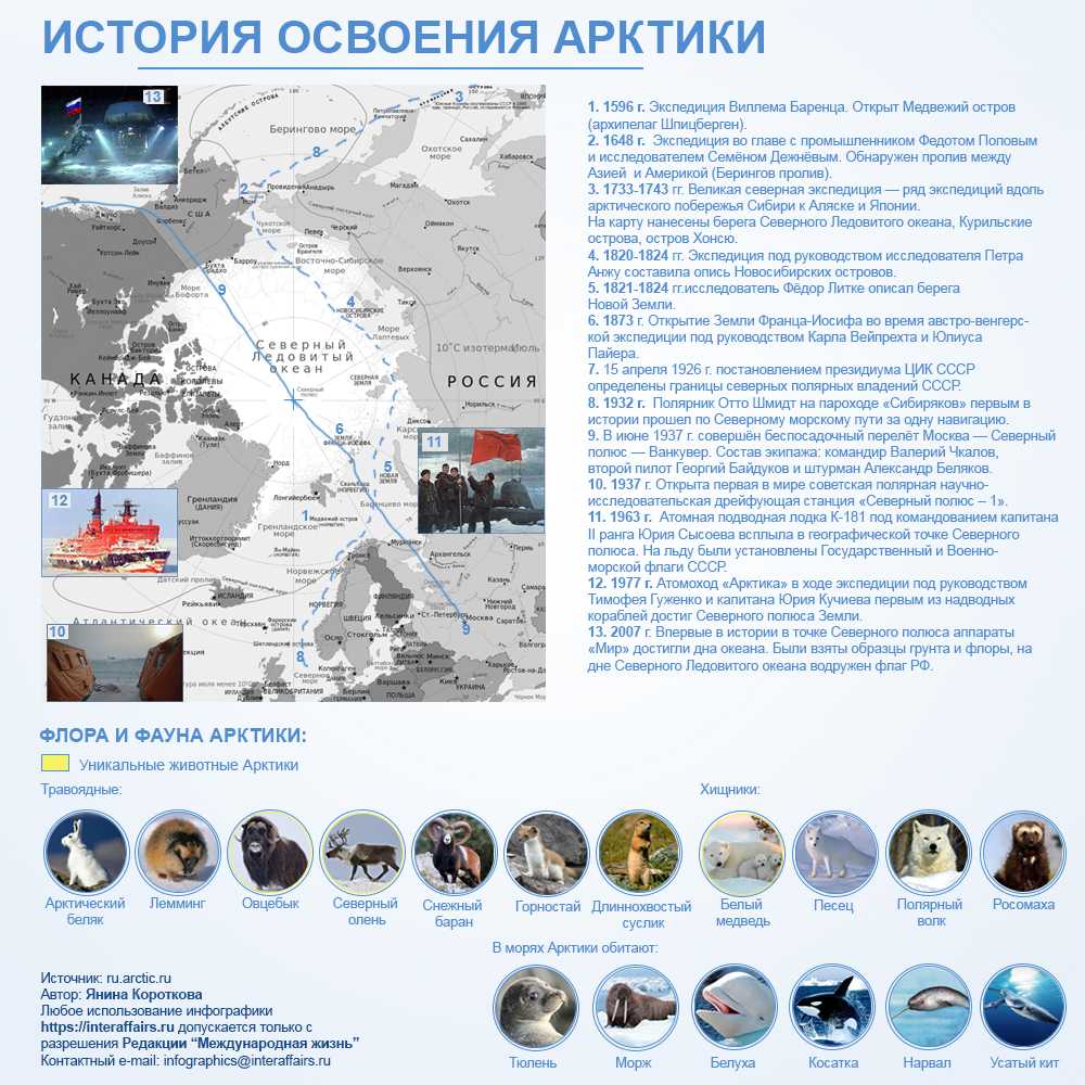 Природно-климатические зоны россии: таблица, описание и особенности