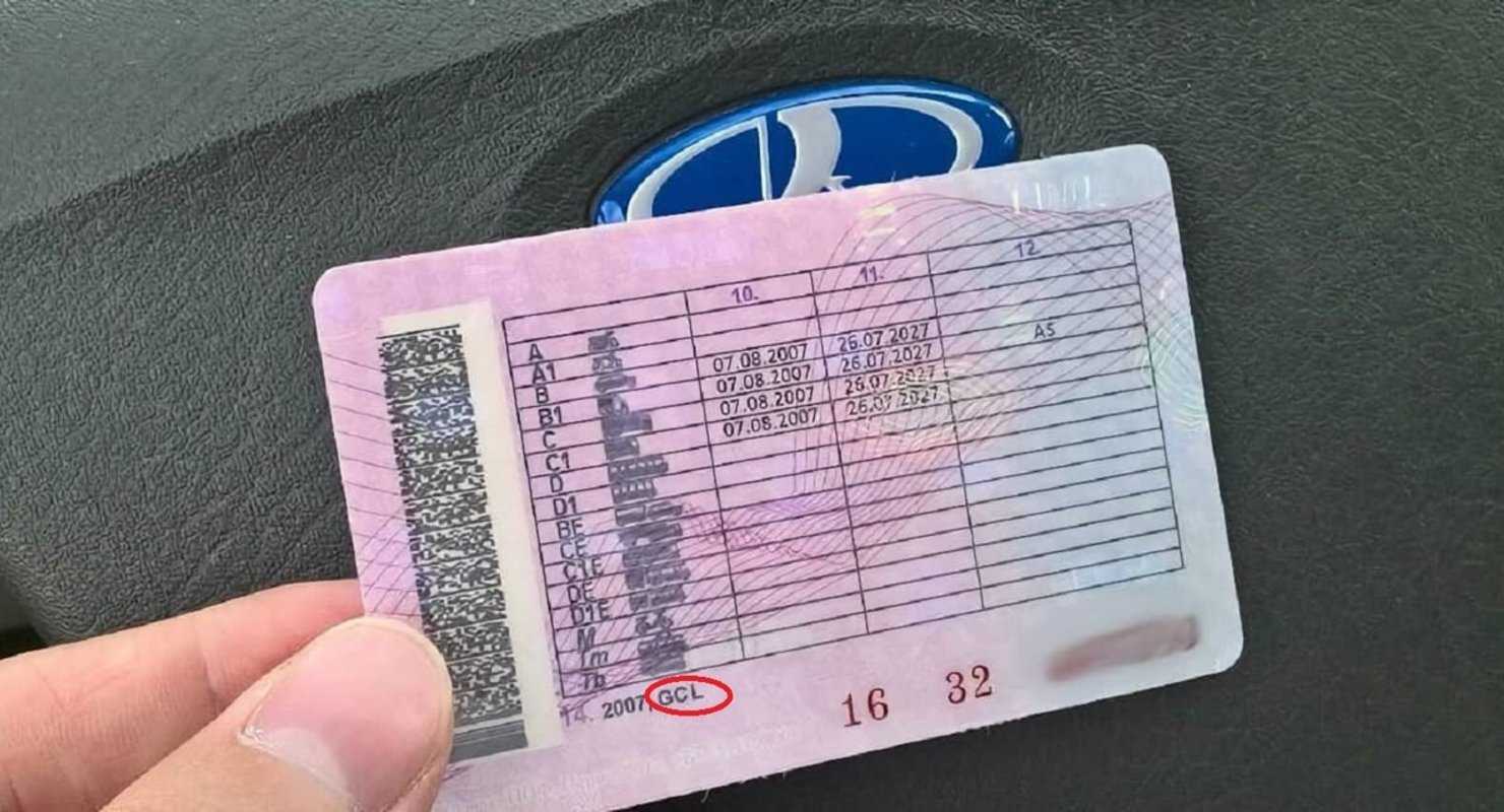 Что пишут в особых отметках в техпаспорте