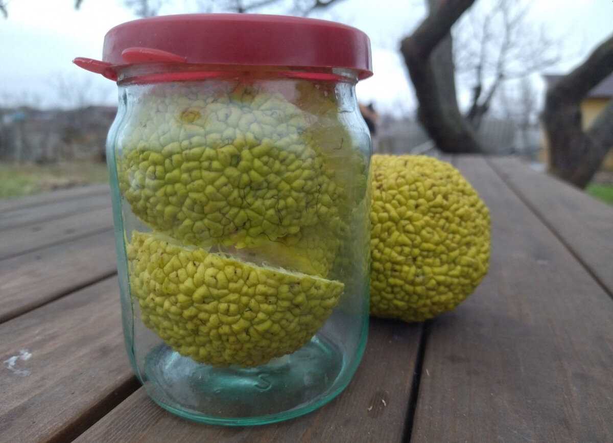 Грехопадение