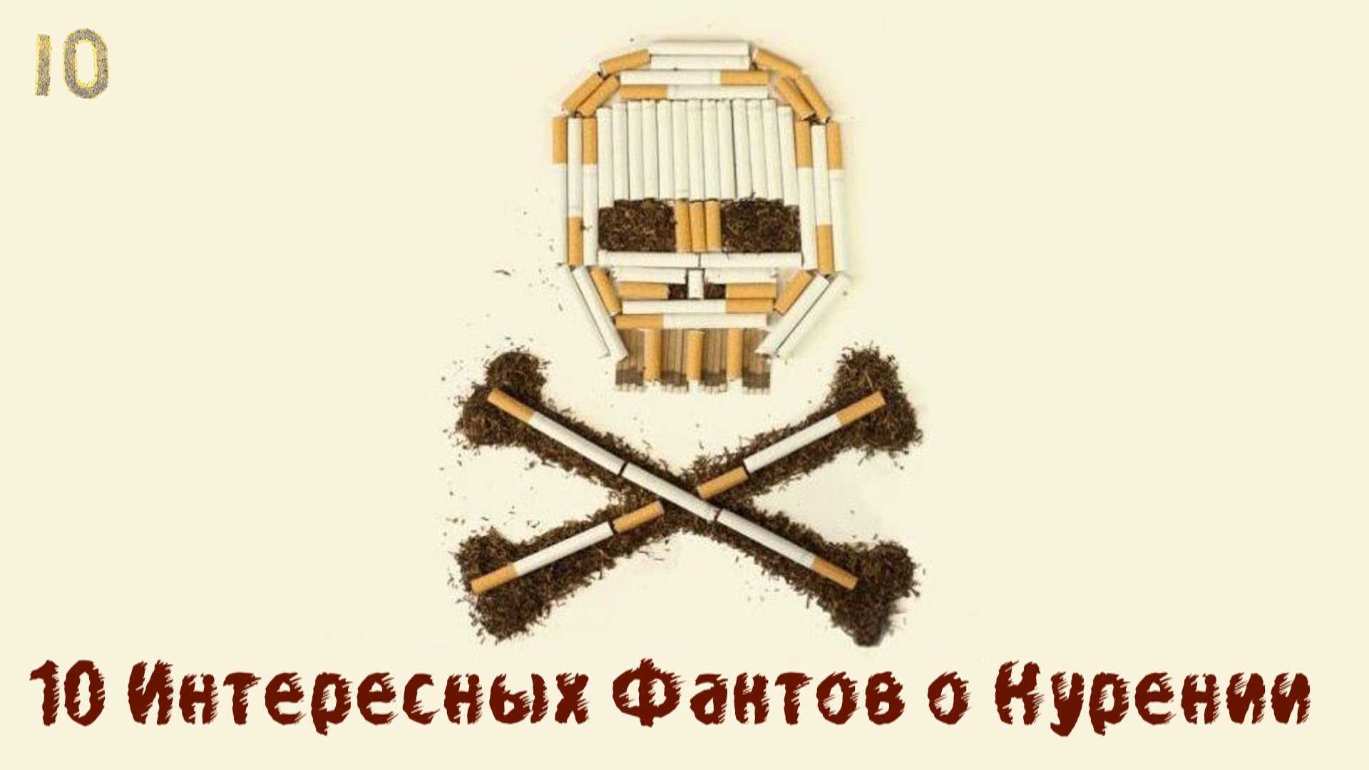 Сигареты компакт: что это за формат и как выбрать лучшие