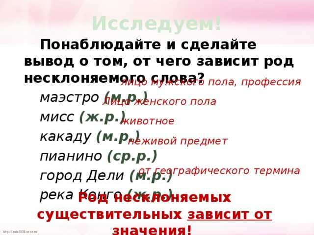 Определение слов по родам. грамматические нормы современного русского языка