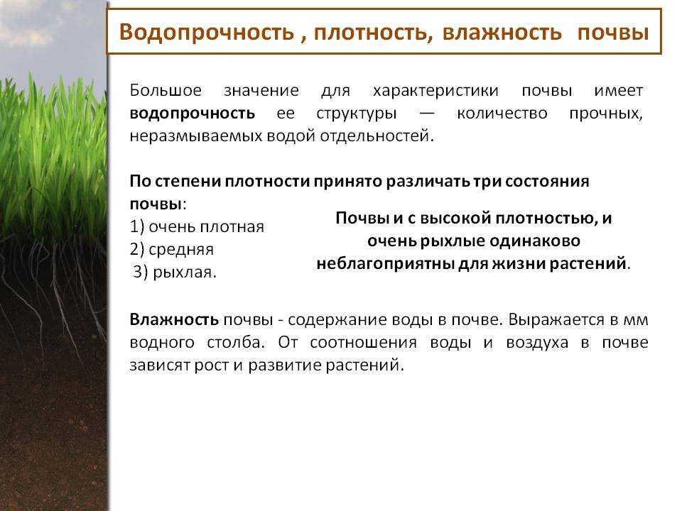 Плотность почвы: классификация и от чего зависит, какие типы различают и оптимальные цифры