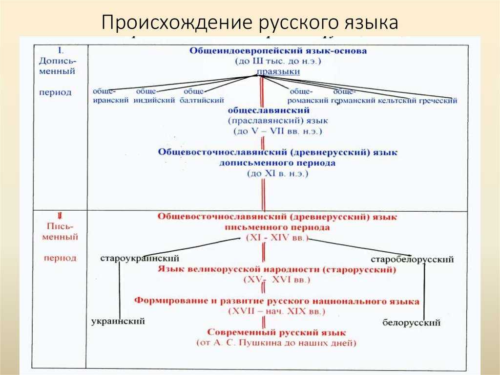 Что значит будет хавать: основные толкования и значения