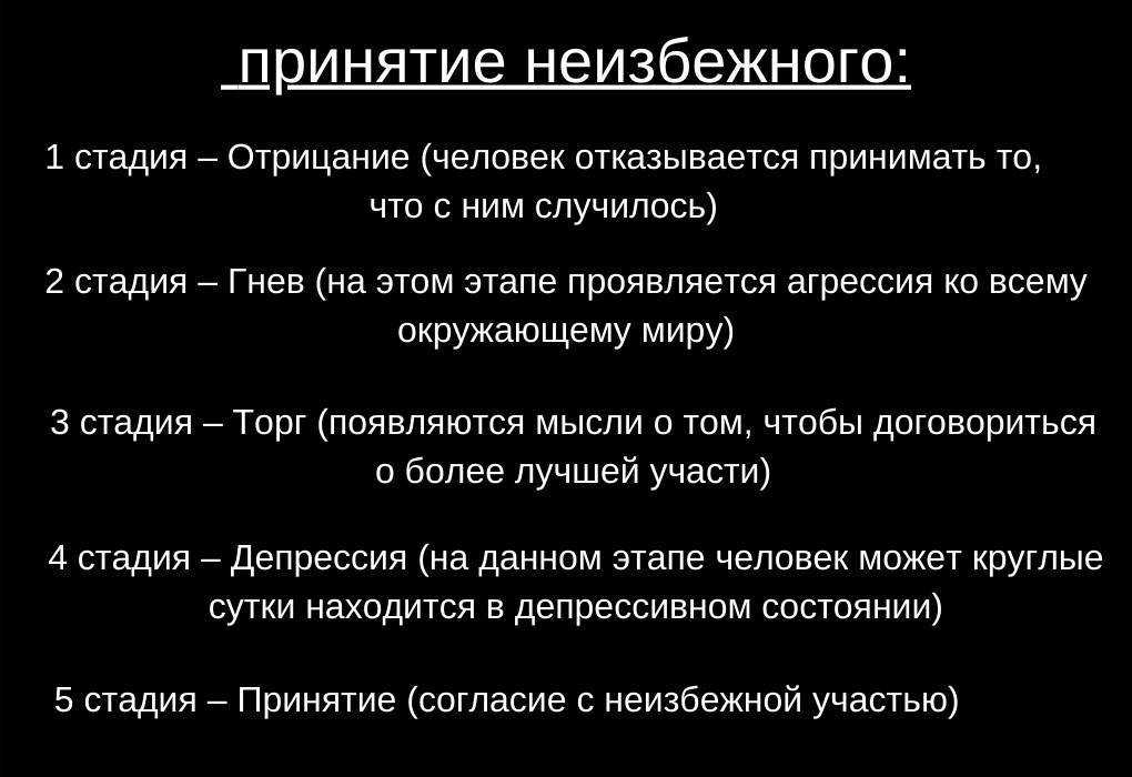 Значение числа 646
