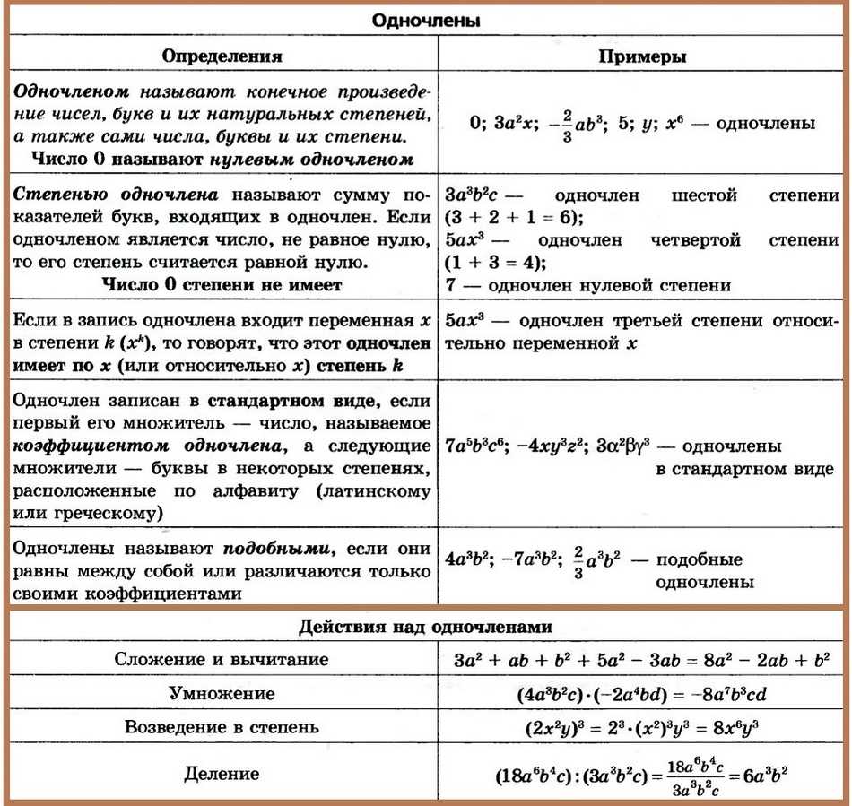Одночлен⚠️: что такое в алгебре, как привести к стандартному виду, как отличить от многочлена