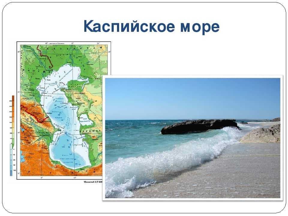 Географическое положение чёрного моря и его краткая характеристика. где находится черное море? | дорога знаний