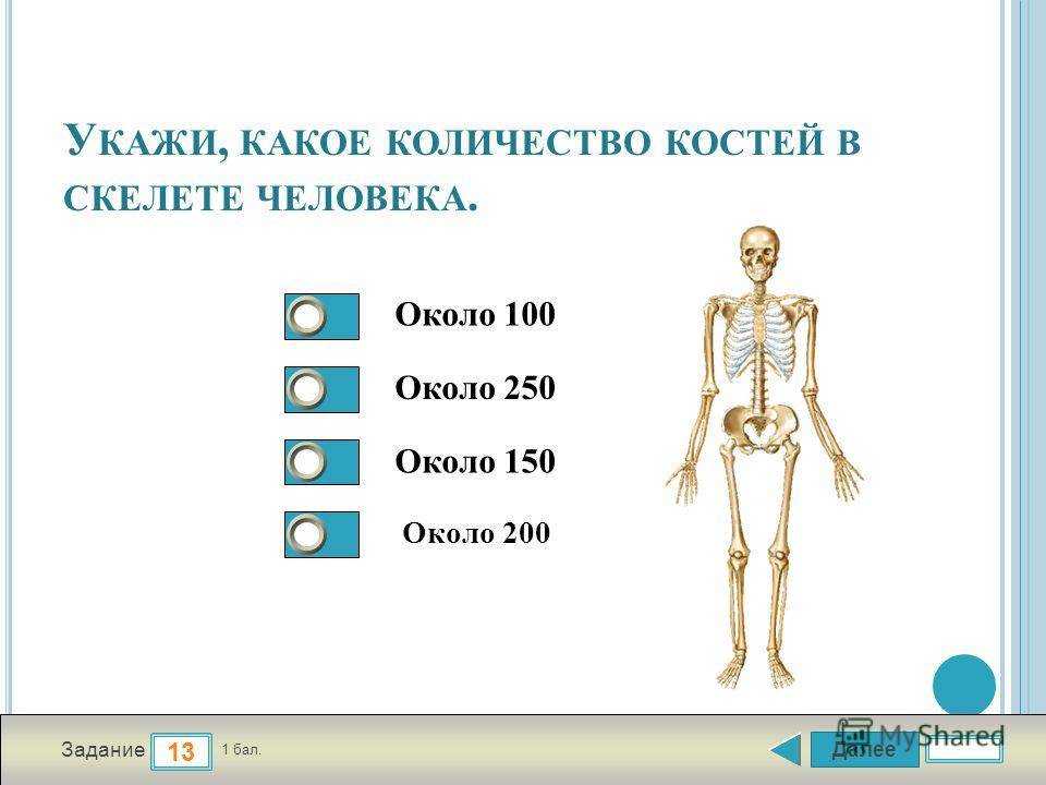 Какова плотность человеческого тела