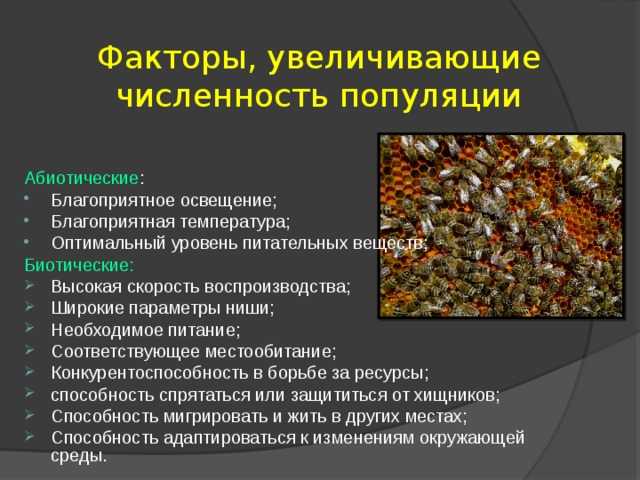 Регуляция численности популяции