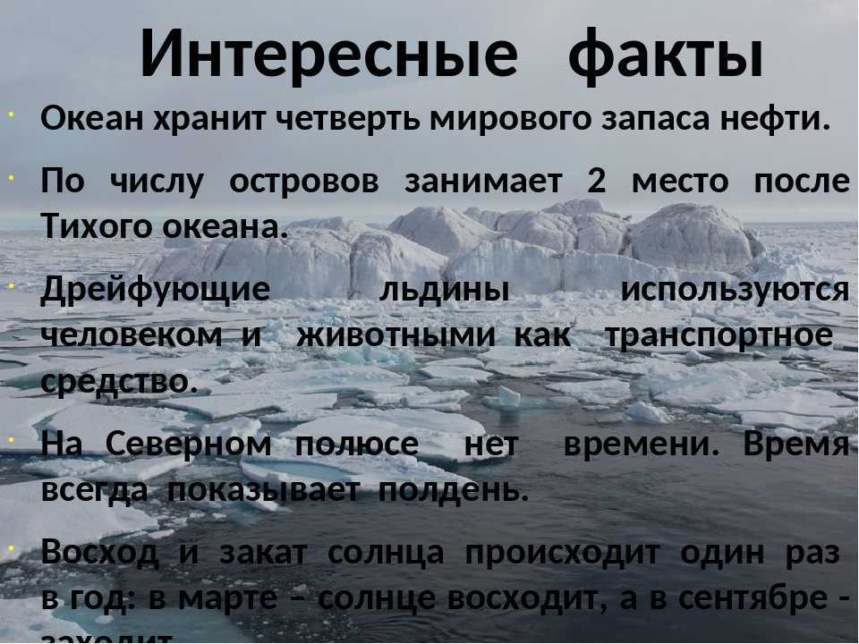 Сколько процентов поверхности земли занимает мировой океан?