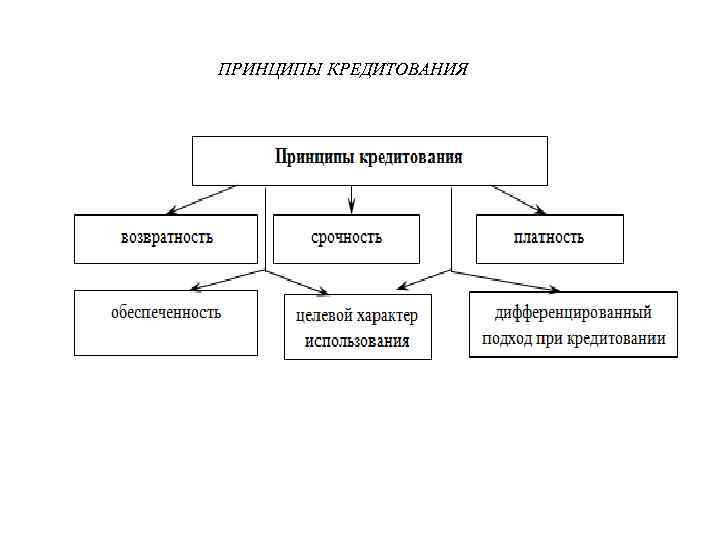 Оборотный кредит для бизнеса | cберфакторинг