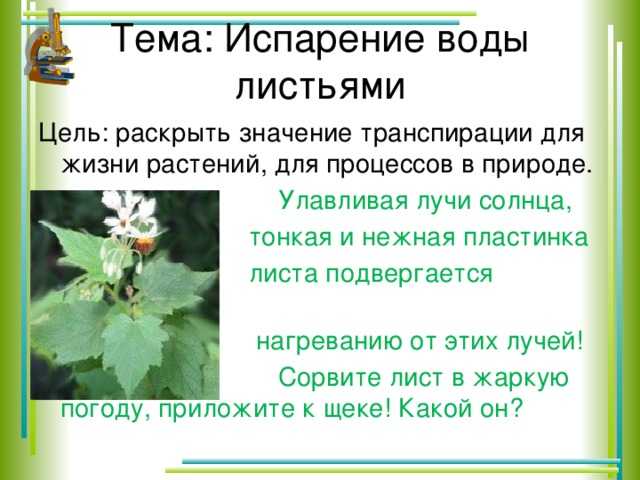 Испарение