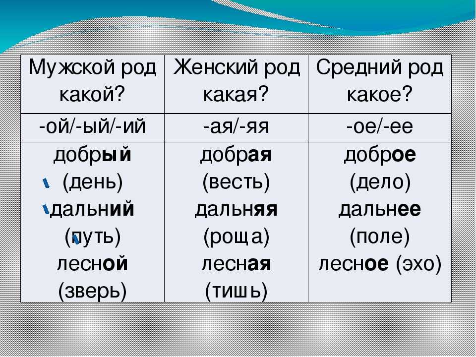 Существительные женского рода - tarologiay.ru