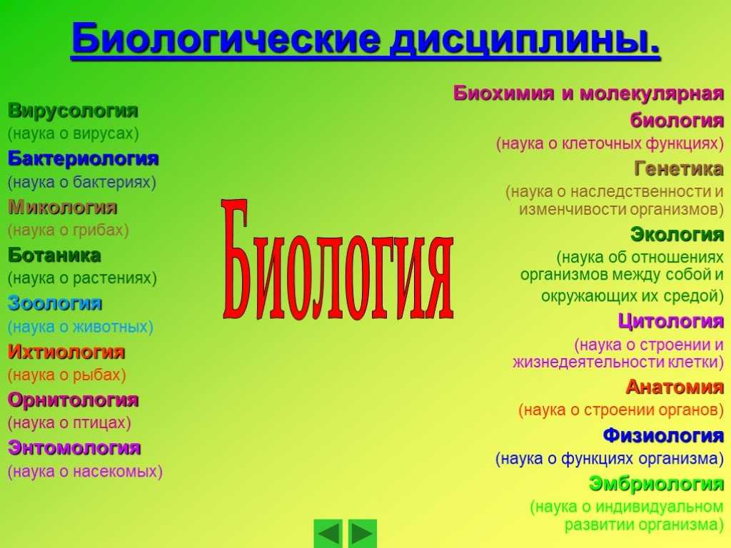 Биология это наука изучающая живые организмы и их взаимодействие с окружающей средой В рамках этой науки существует понятие биологические