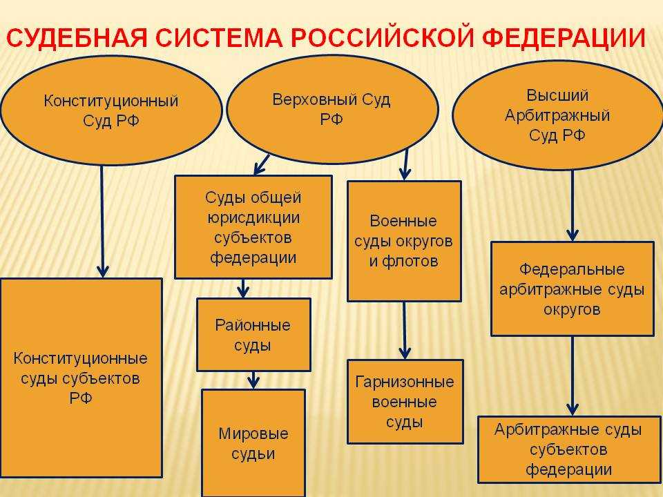 Судебная система в егэ по обществознанию
