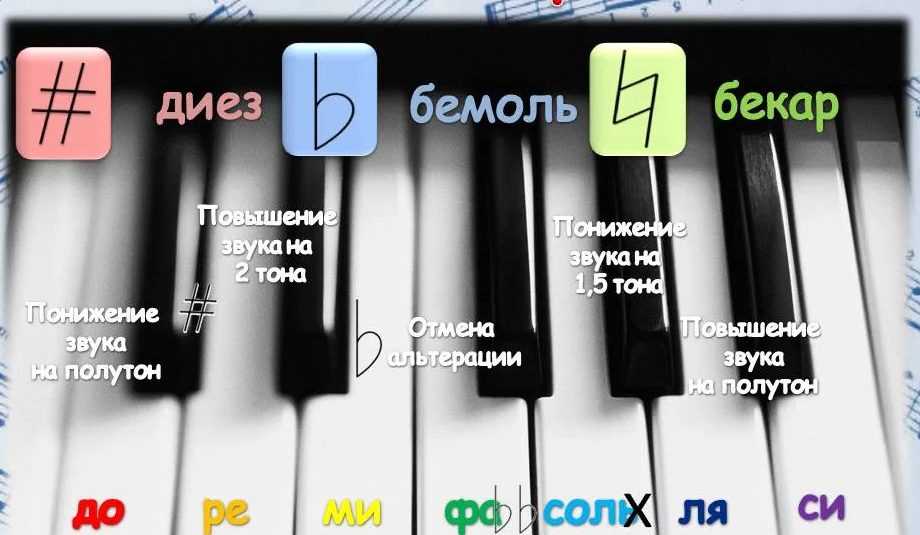 Из чего состоит любая музыка? пора разобраться