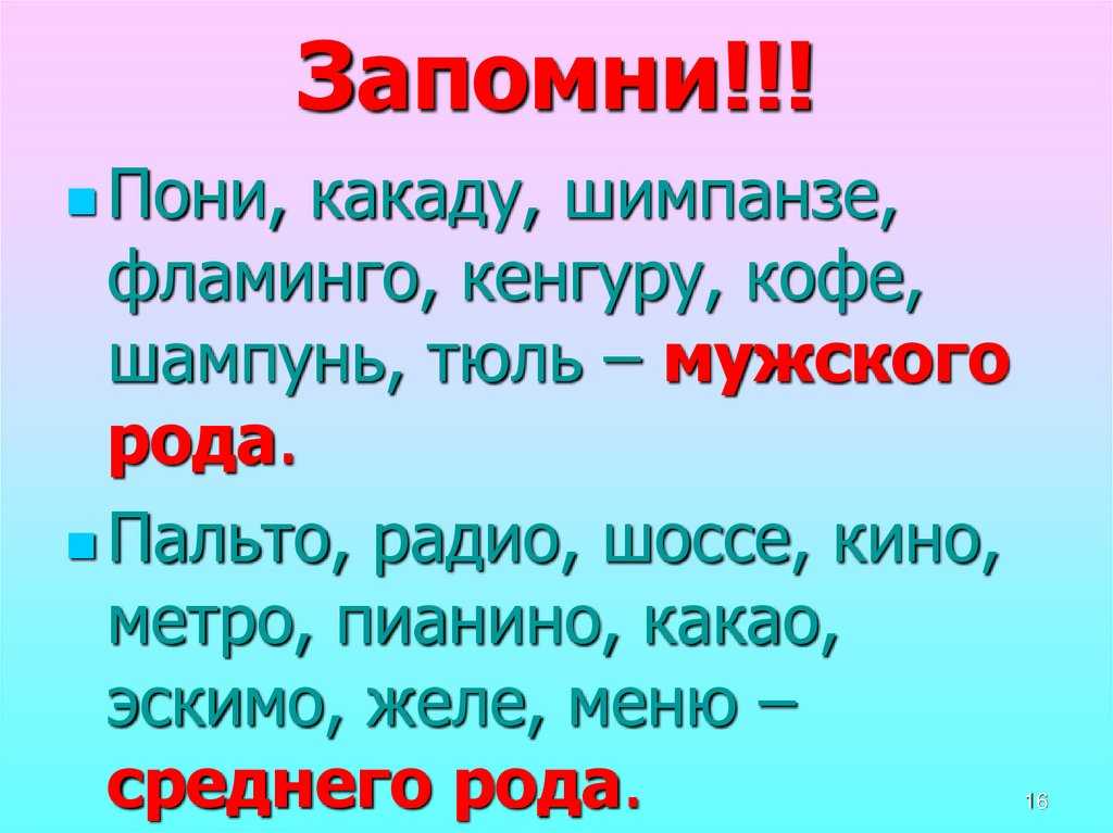 Род имён существительных в русском языке