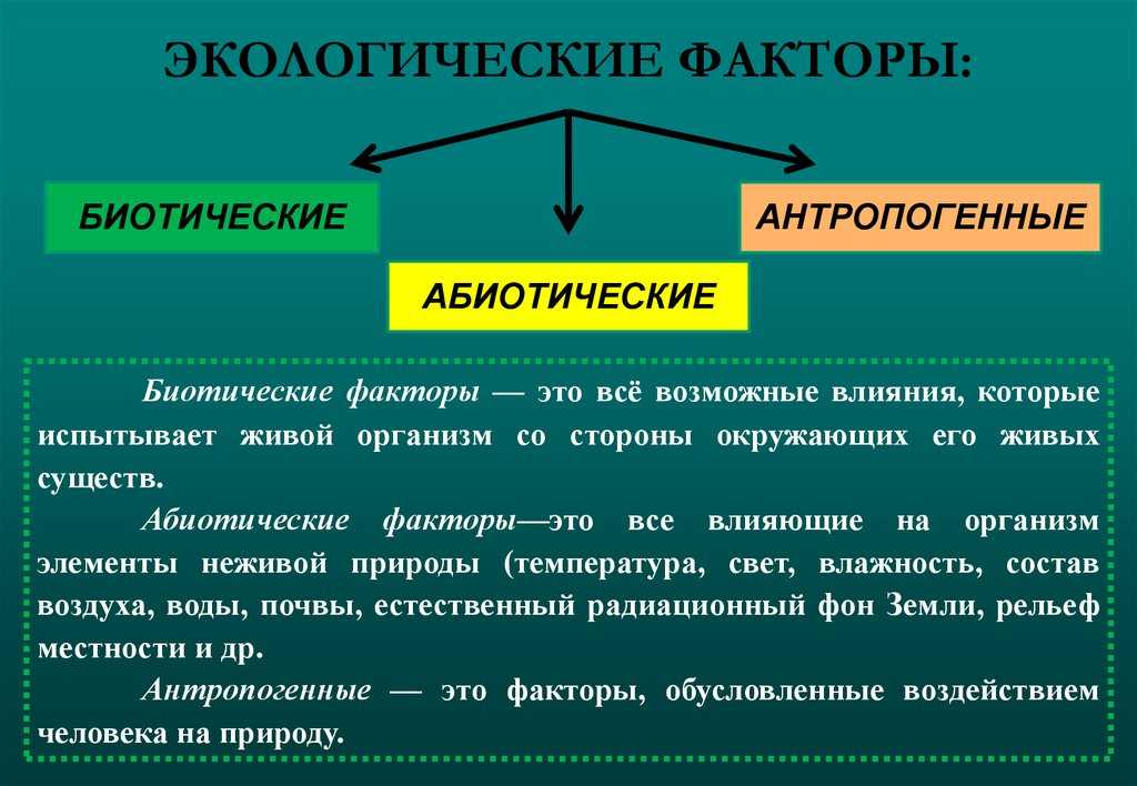 Экологические факторы среды. их классификация на группы и характеристика - кудаградусник.ру