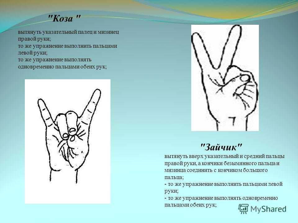 Что такое зиг хайль