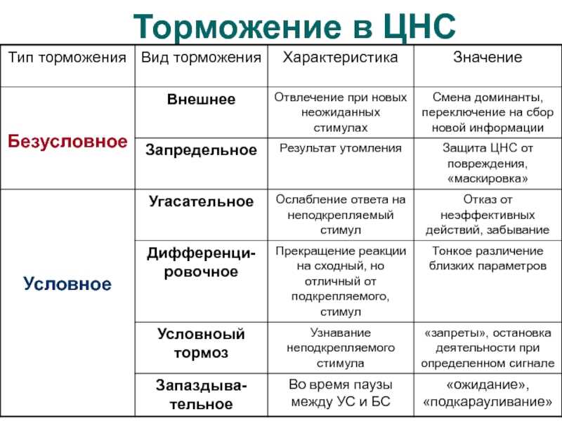 Что значит быть храбрым