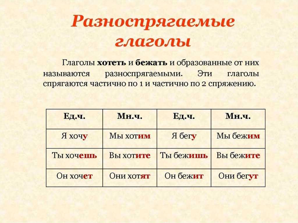 Лица в русском языке: сколько лиц и какие они в русском языке. лицо глагола как определить