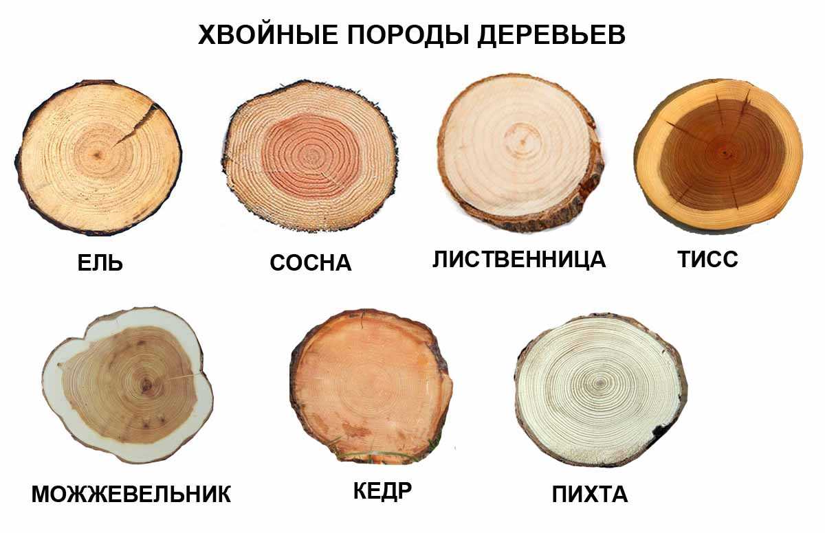 Сколько весит куб лиственницы естественной влажности – сколько весит куб лиственницы, вес куба доски из лиственницы - vesta-teplij-pol.ru