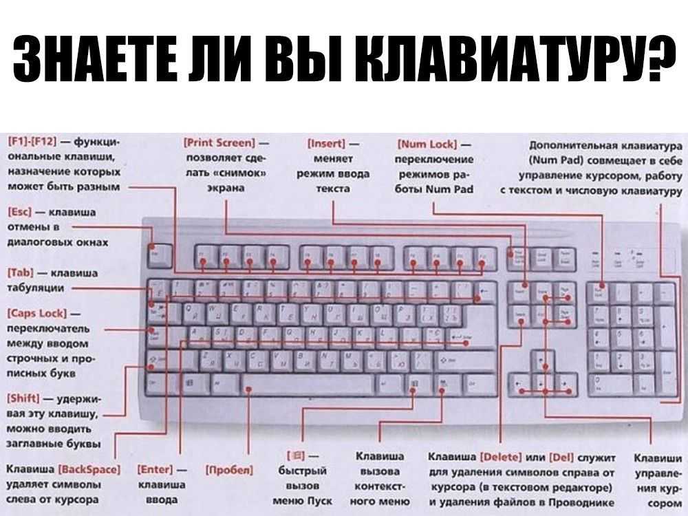 Как вставить дату и время в word