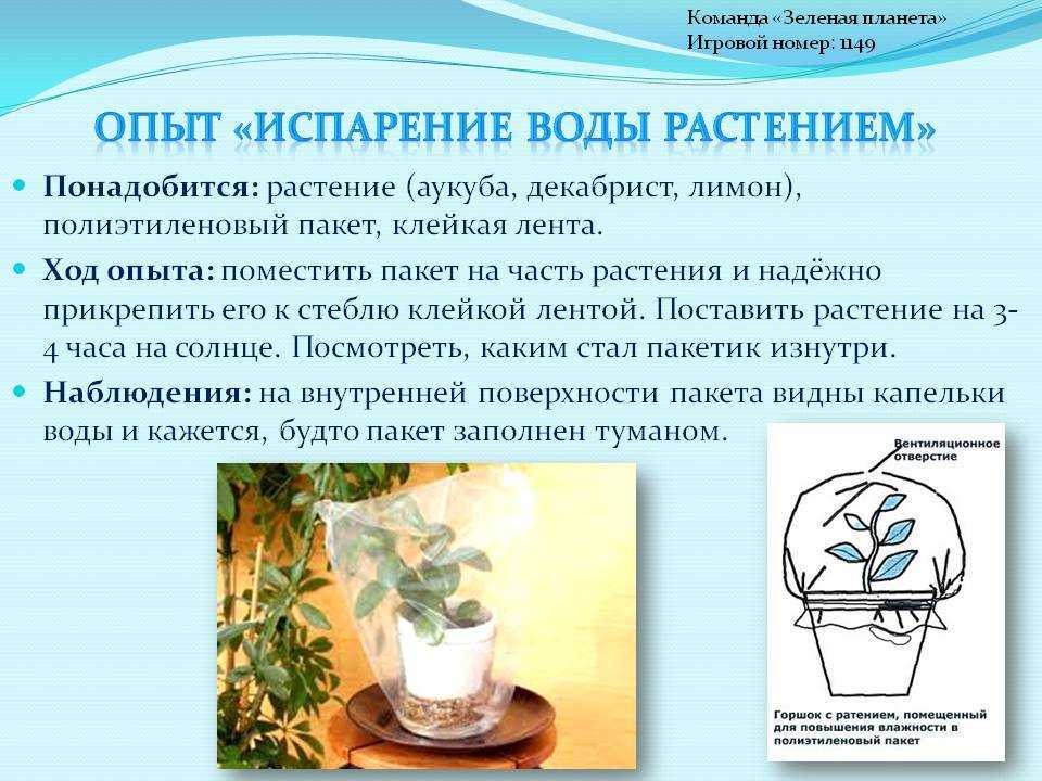 Испариться: что это значит и как происходит