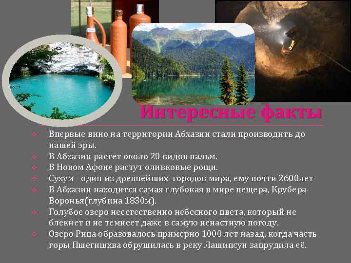 Животные пустыни - список, виды, описание, факты и фото